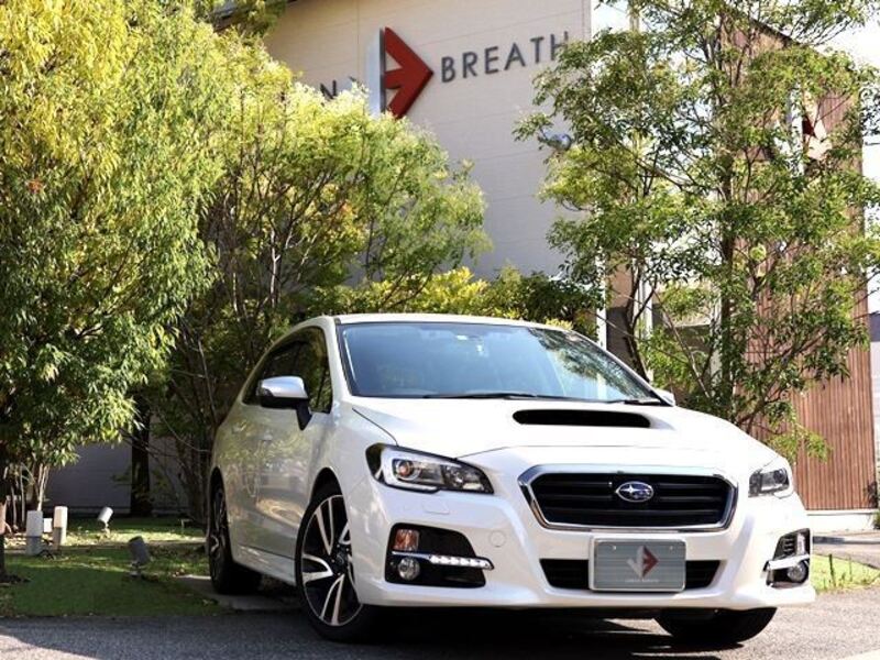 LEVORG-0