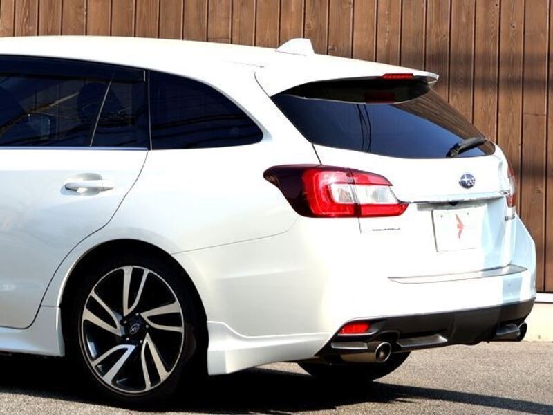 LEVORG