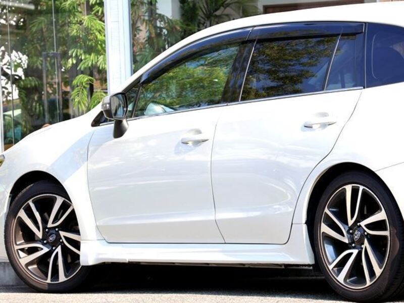 LEVORG