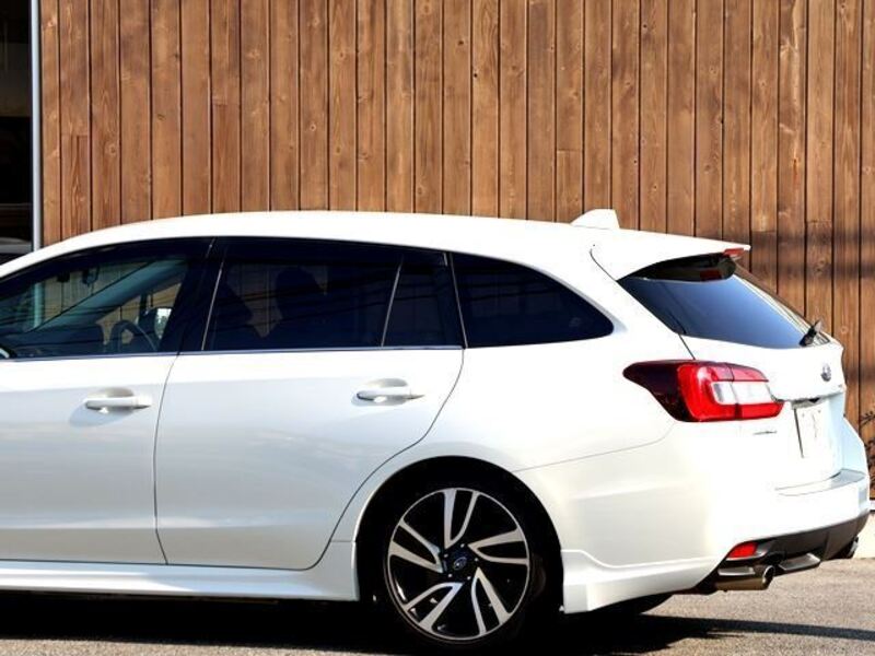 LEVORG