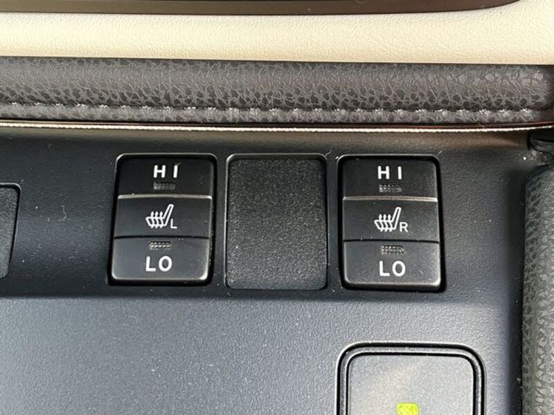 AURIS HYBRID