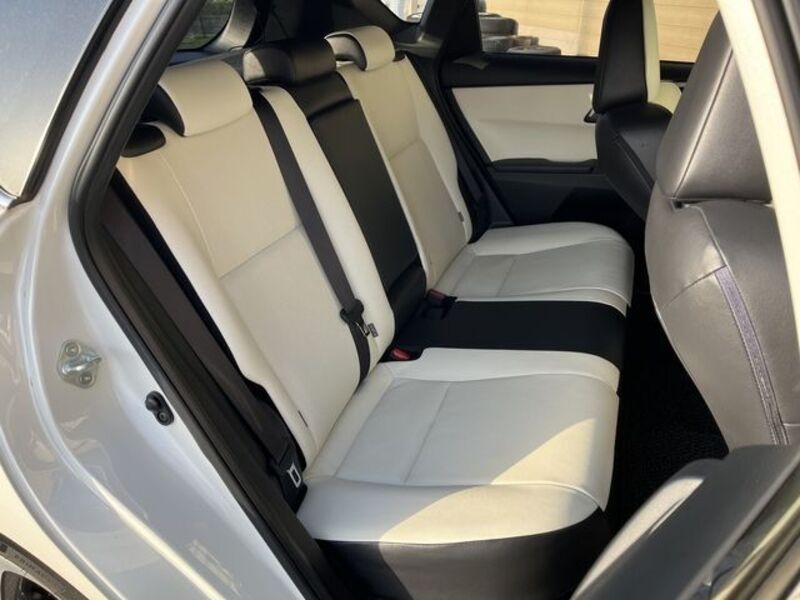 AURIS HYBRID
