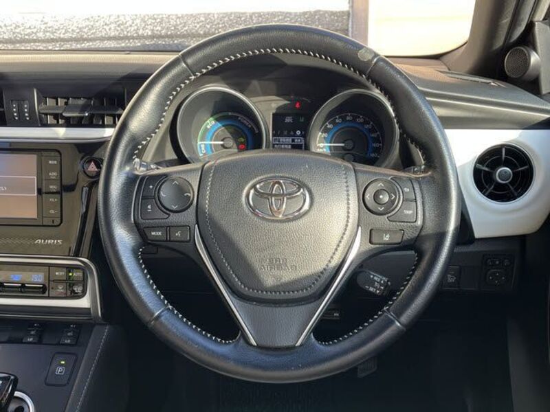 AURIS HYBRID