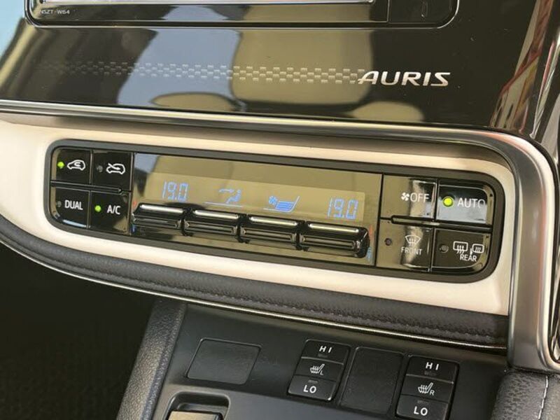 AURIS HYBRID