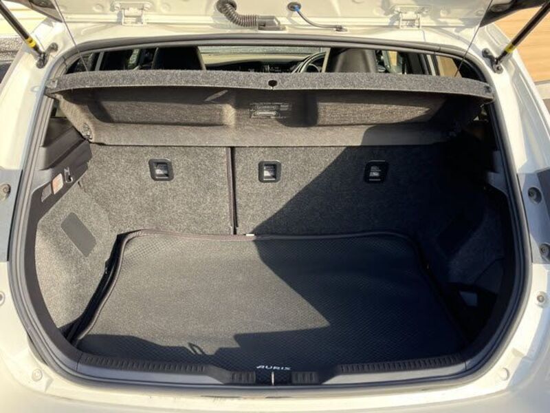 AURIS HYBRID