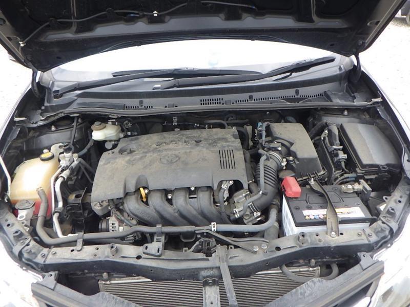 AURIS