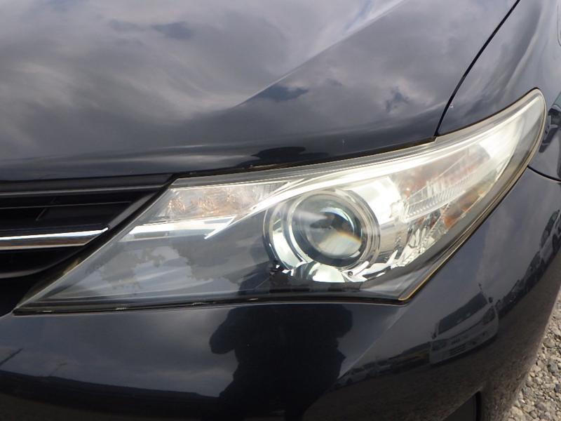 AURIS