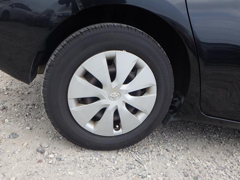 AURIS