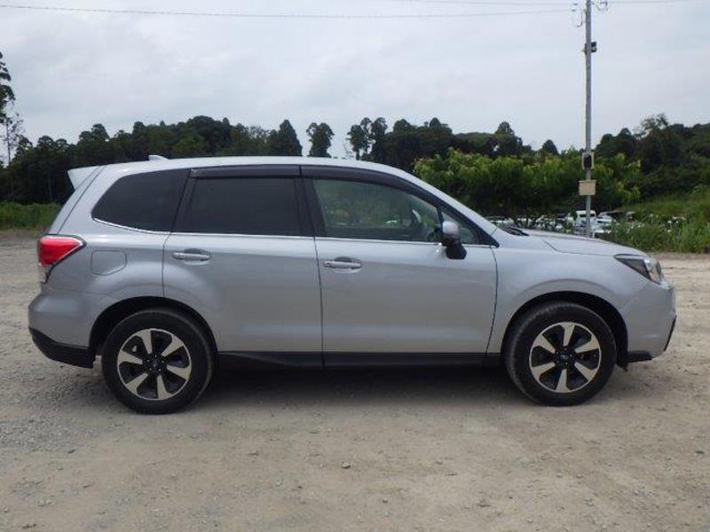FORESTER
