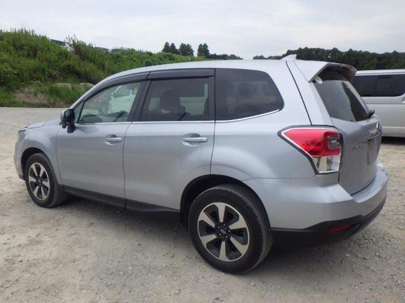FORESTER