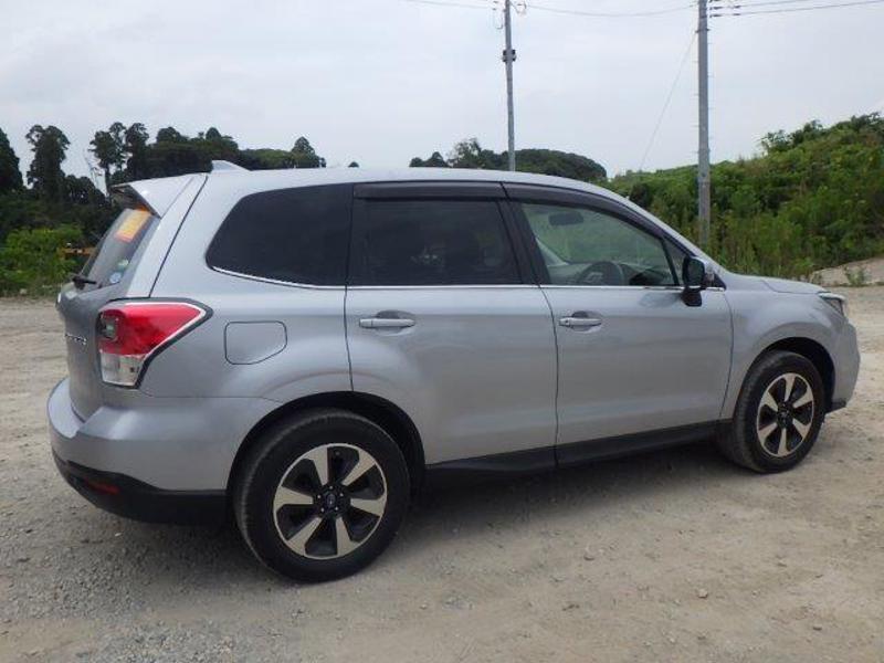 FORESTER