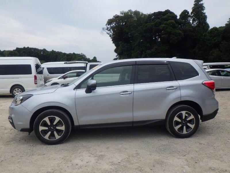 FORESTER