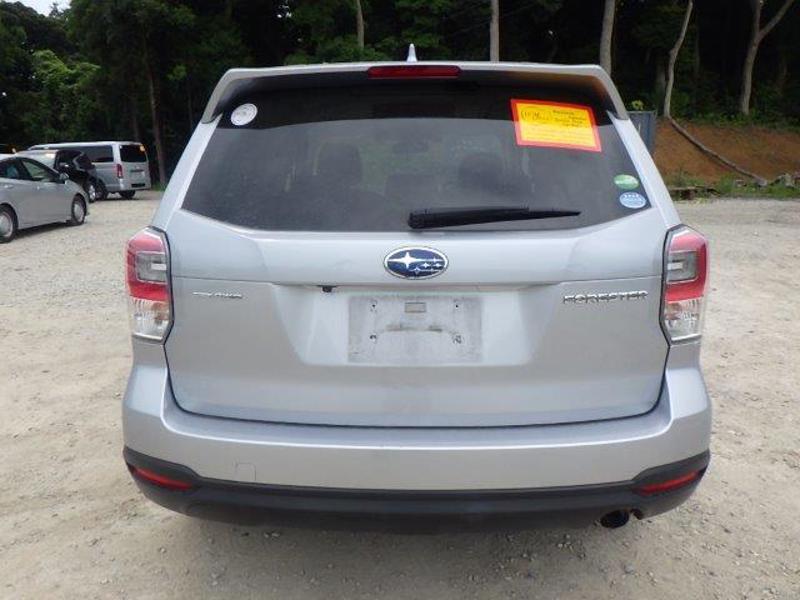 FORESTER