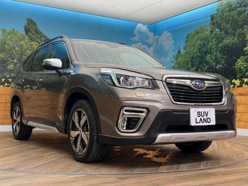FORESTER