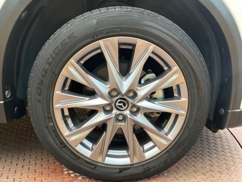 CX-8