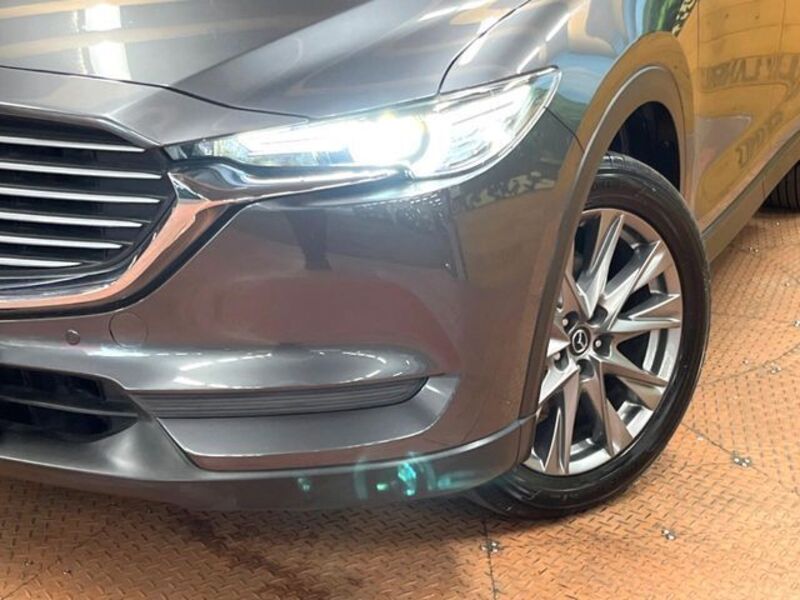 CX-8