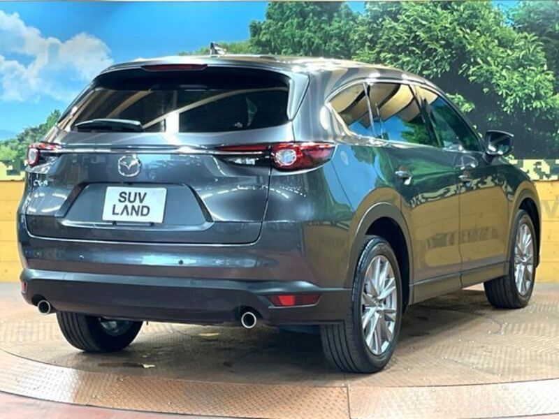CX-8
