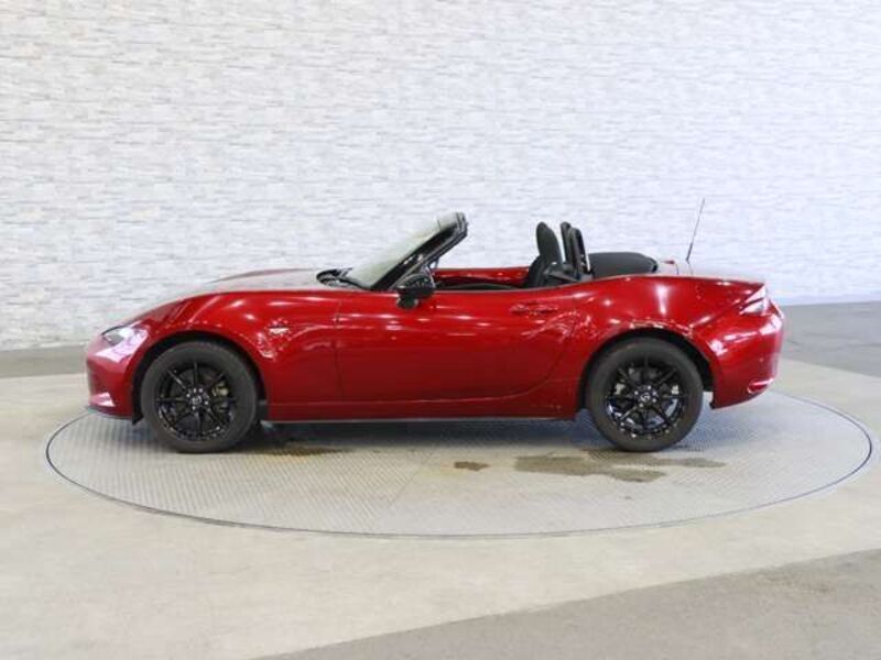 ROADSTER