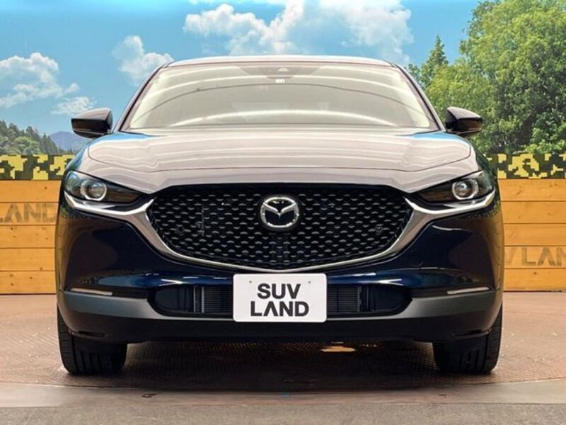 CX-30