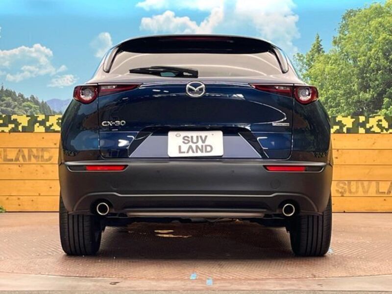 CX-30