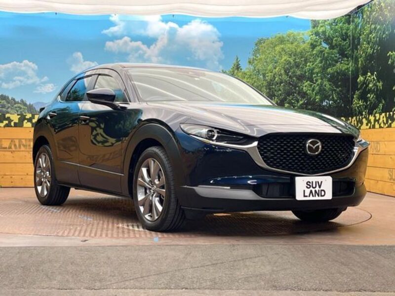 CX-30