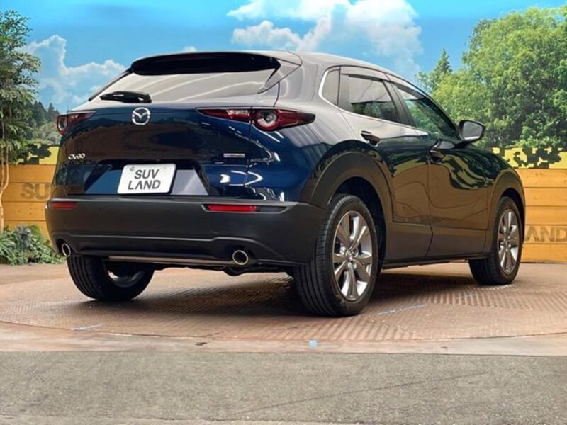 CX-30