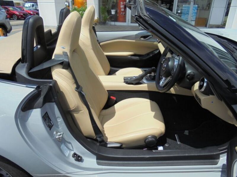 ROADSTER