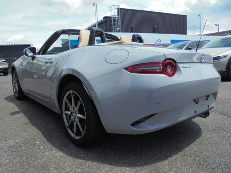 ROADSTER