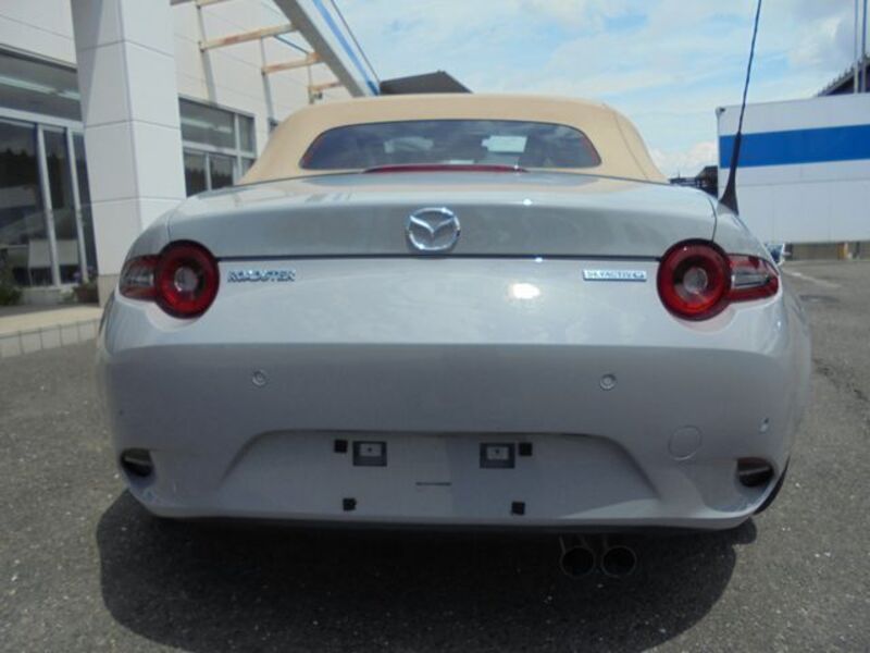 ROADSTER