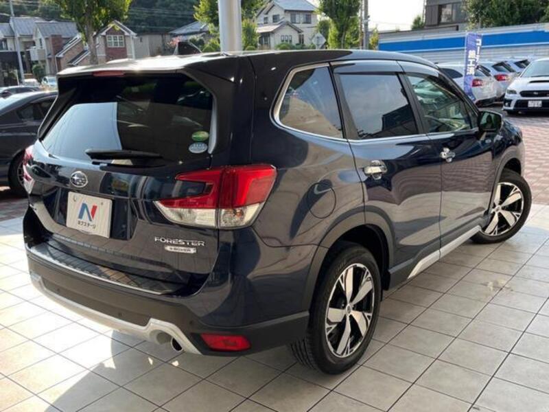 FORESTER