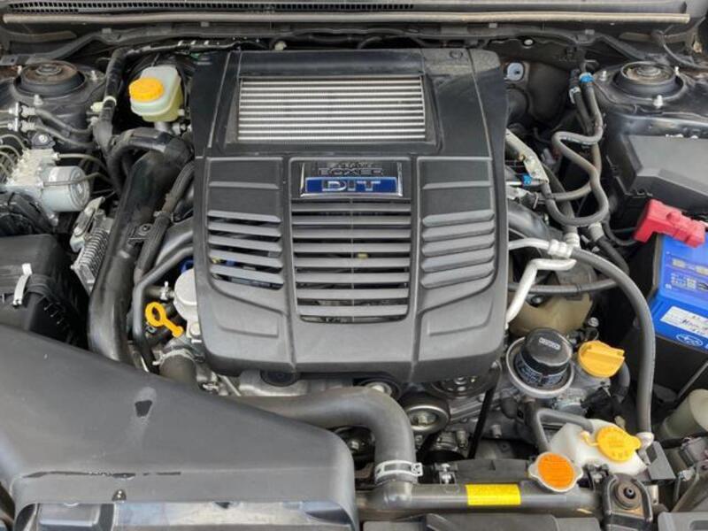 LEVORG