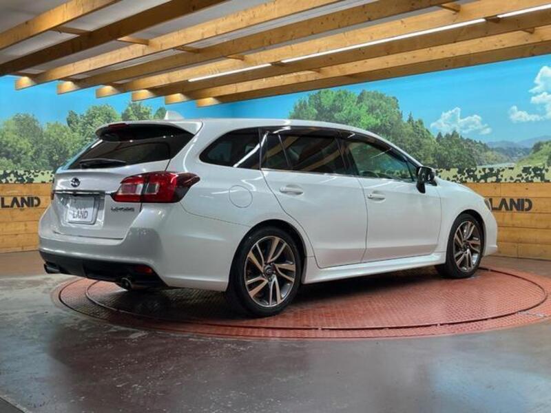 LEVORG