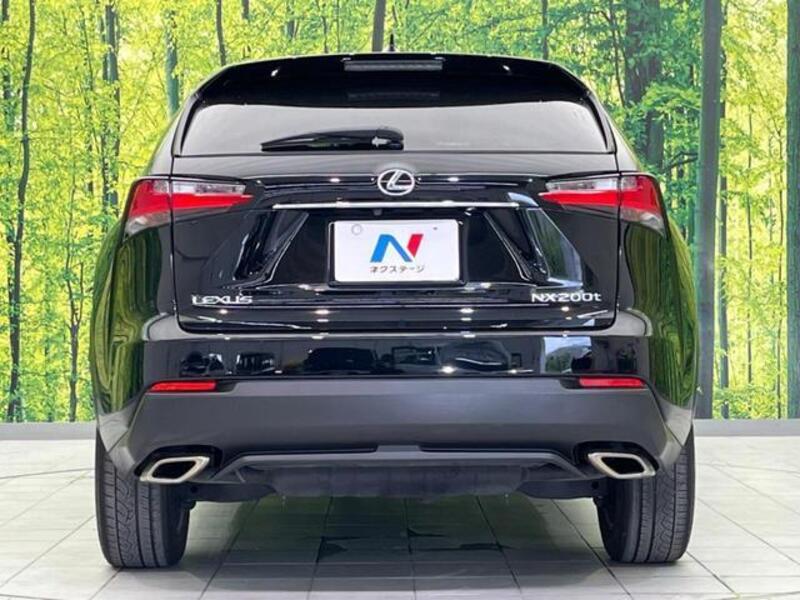 NX