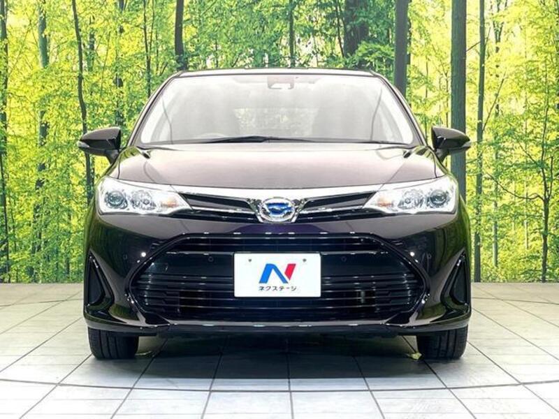 COROLLA FIELDER