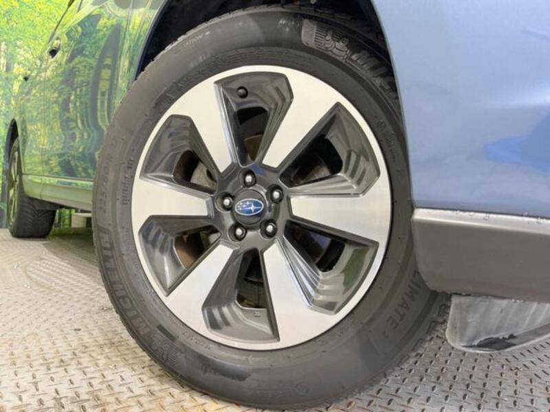 FORESTER