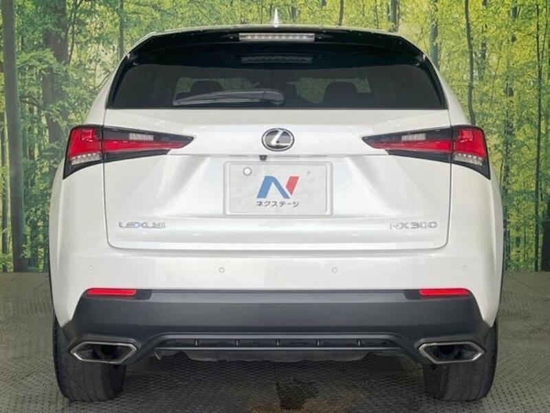 NX