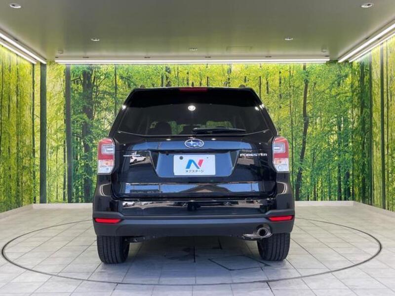 FORESTER