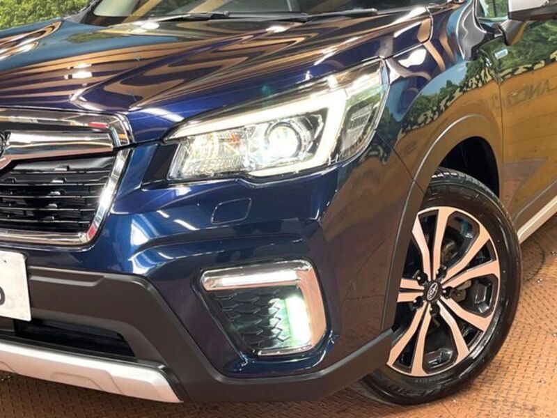 FORESTER