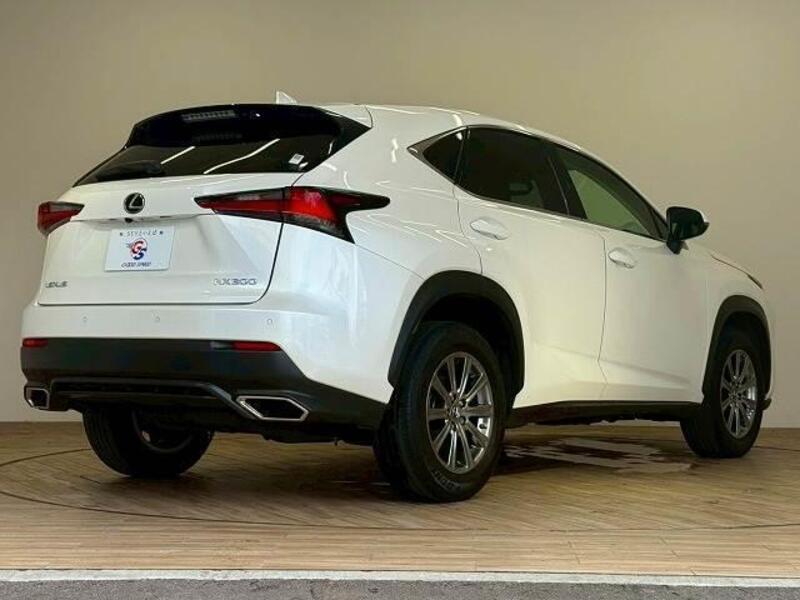NX