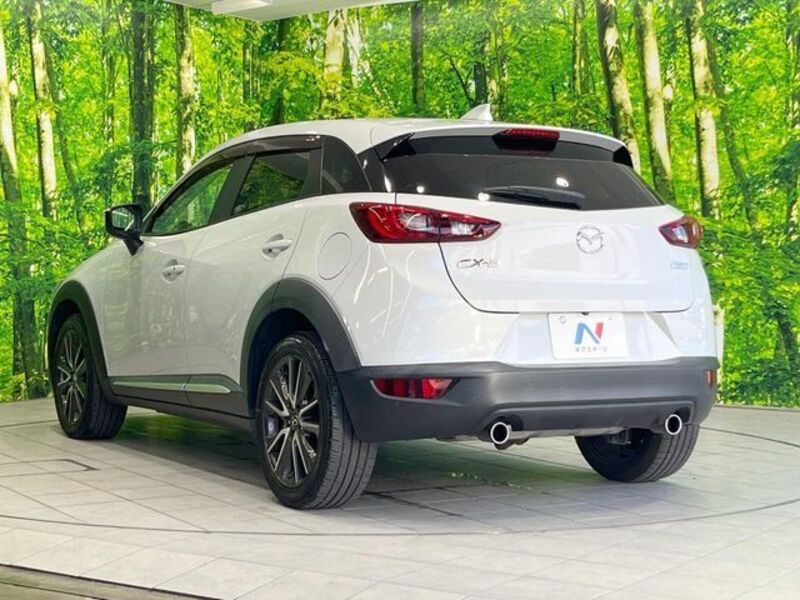CX-3