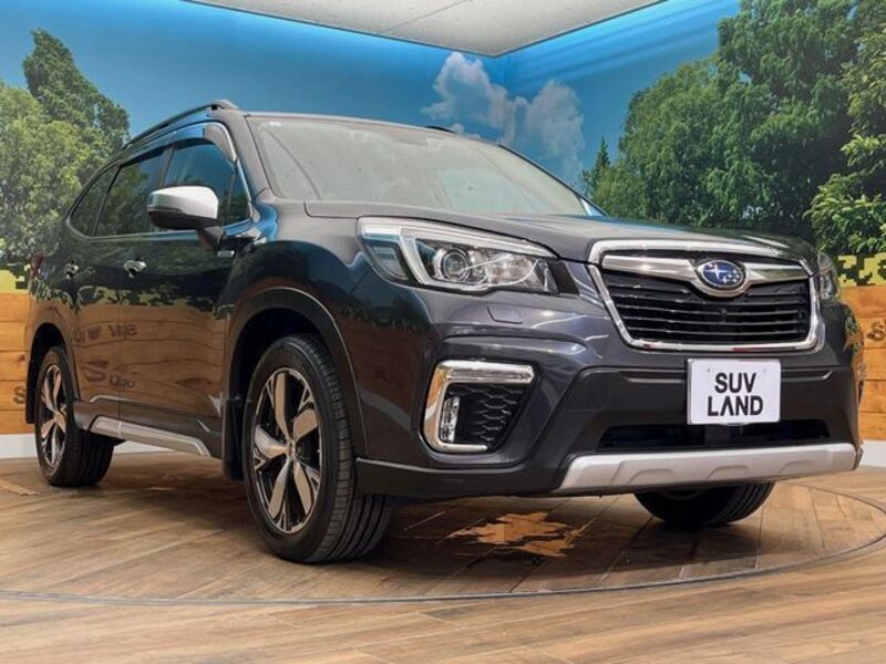 FORESTER