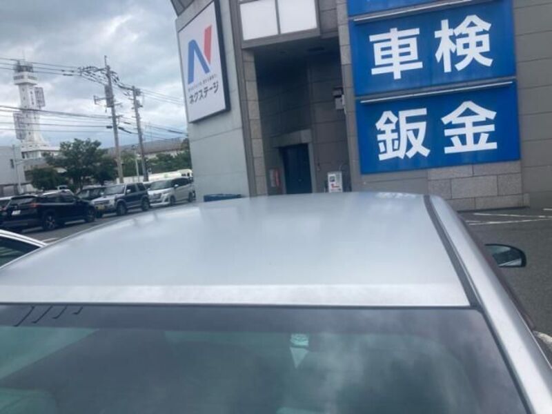BLUEBIRD SYLPHY