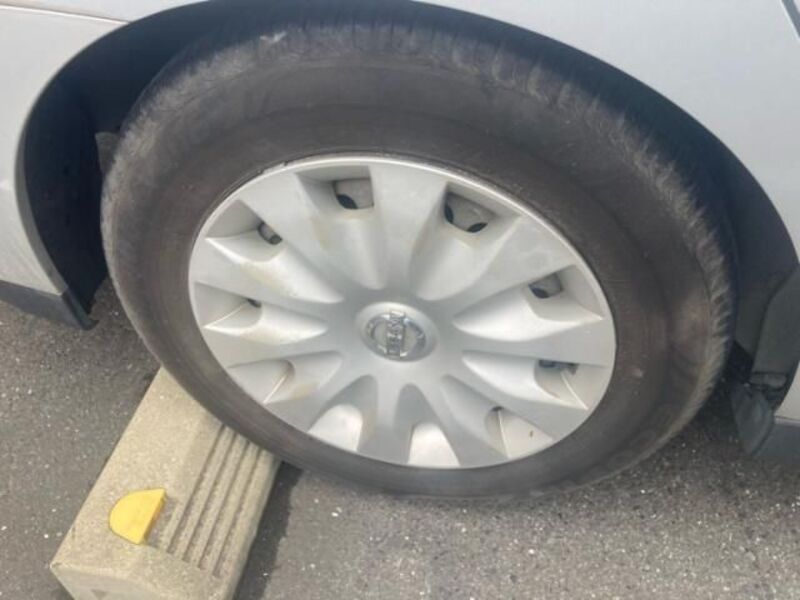 BLUEBIRD SYLPHY