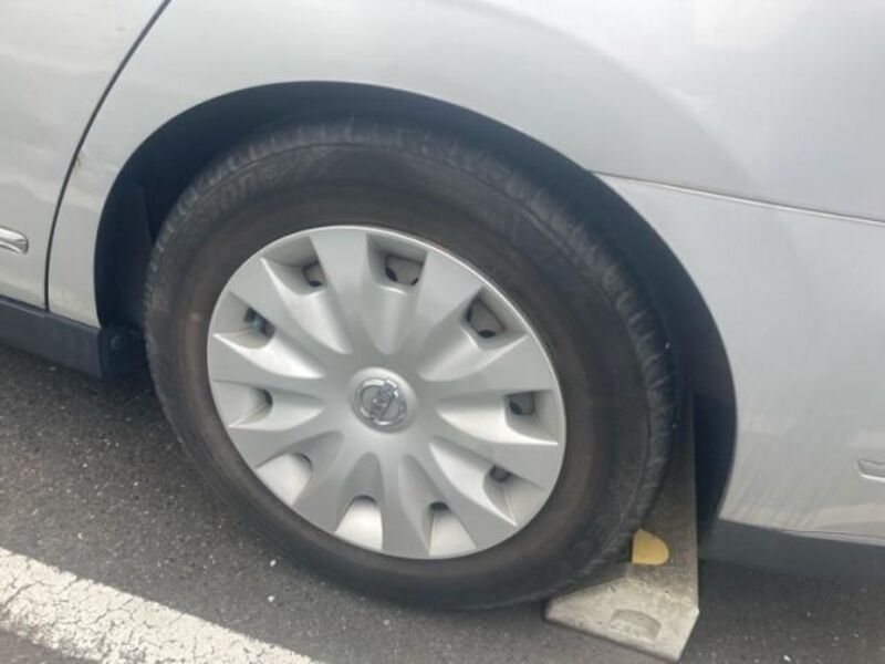 BLUEBIRD SYLPHY