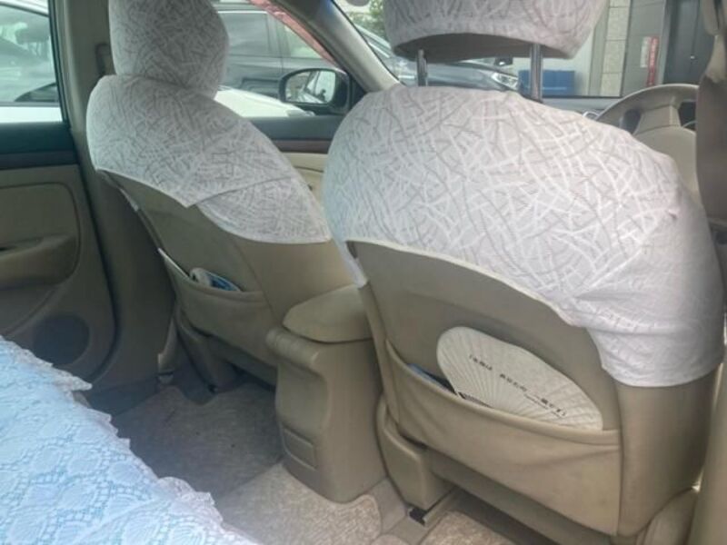 BLUEBIRD SYLPHY