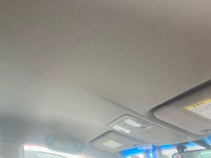 BLUEBIRD SYLPHY