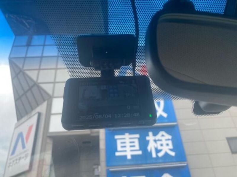 BLUEBIRD SYLPHY