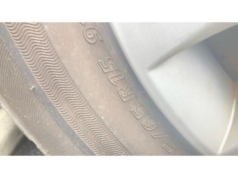 BLUEBIRD SYLPHY