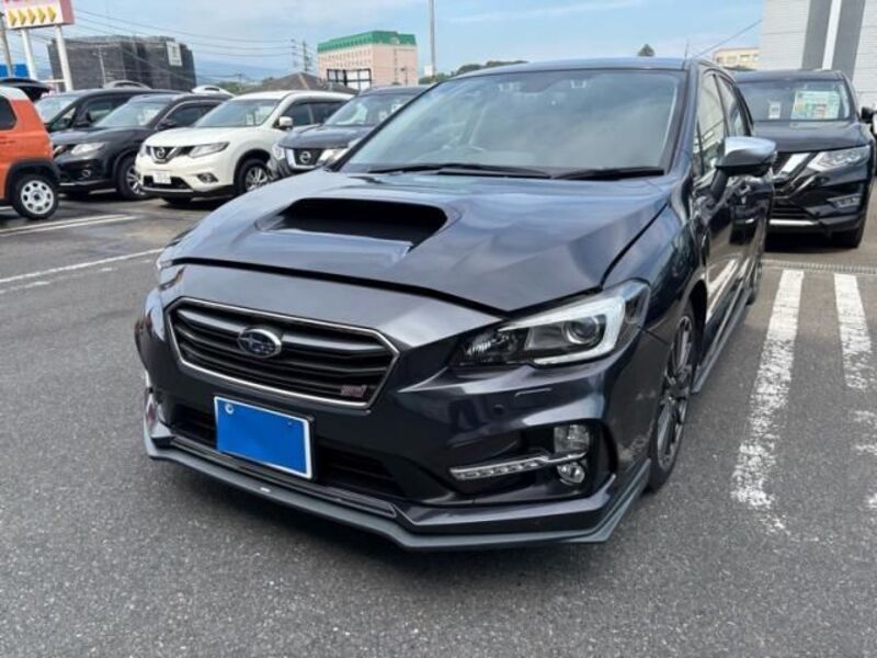 LEVORG