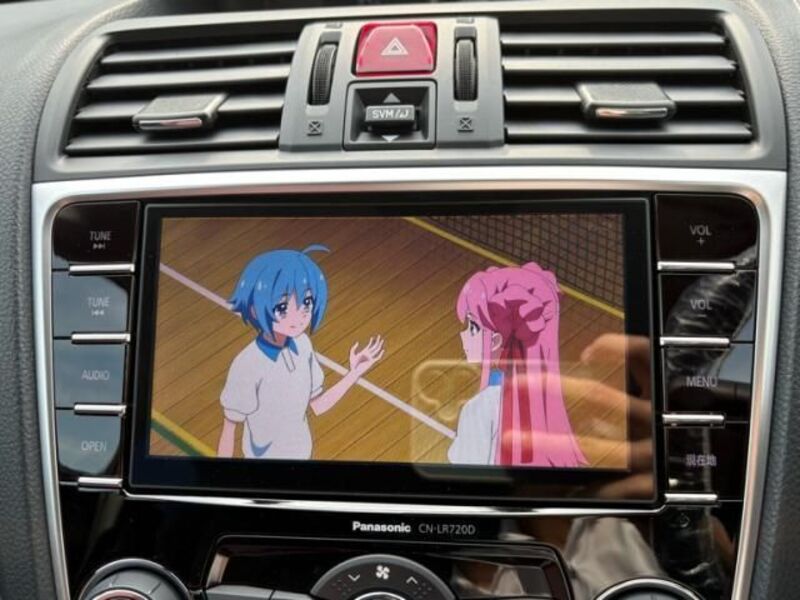 LEVORG
